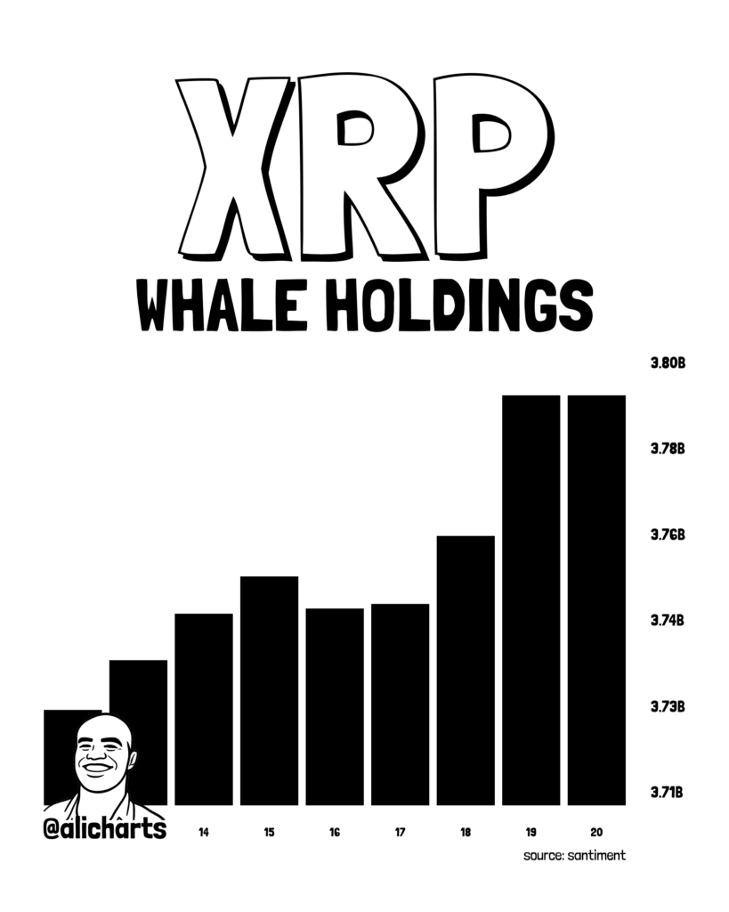 XRP Whale