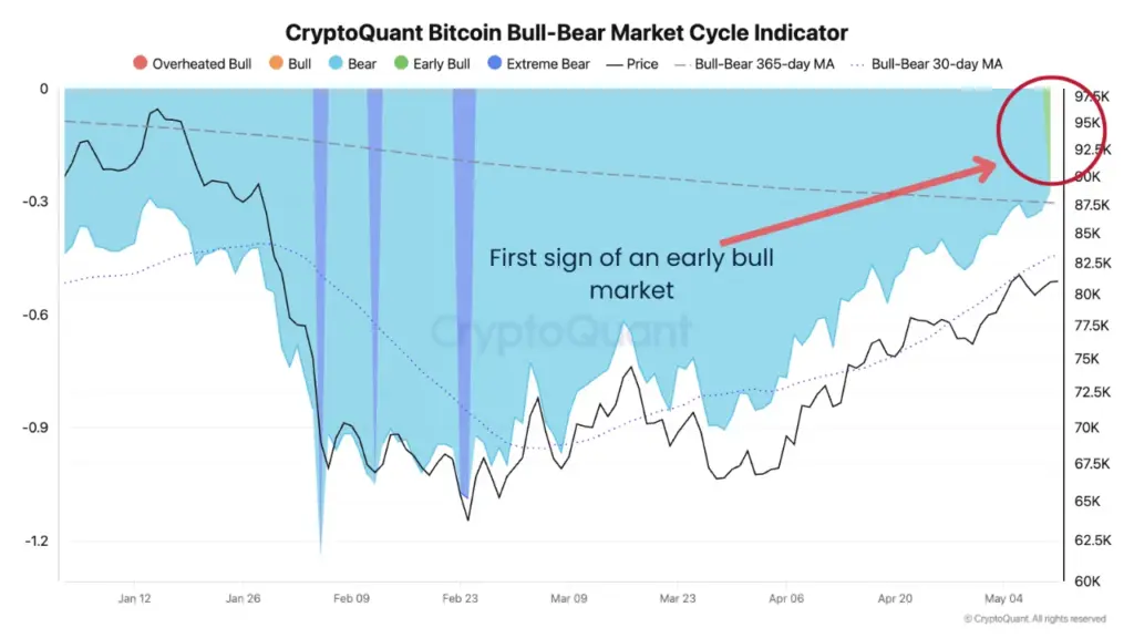 bull bear