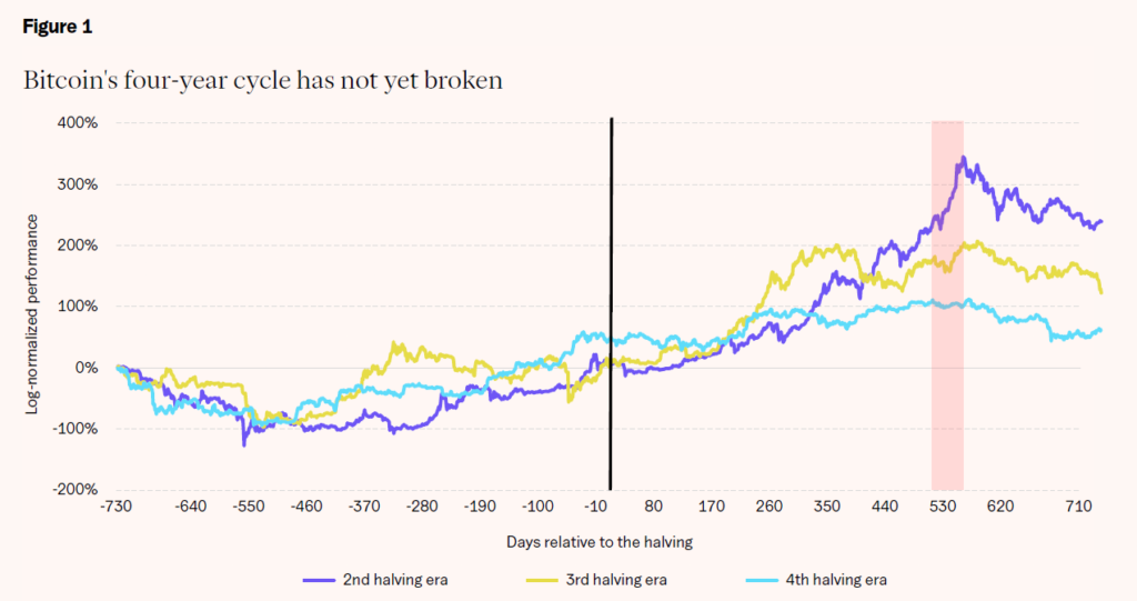 BTC Halving