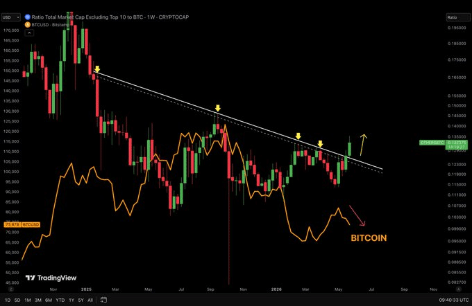 BTC Others