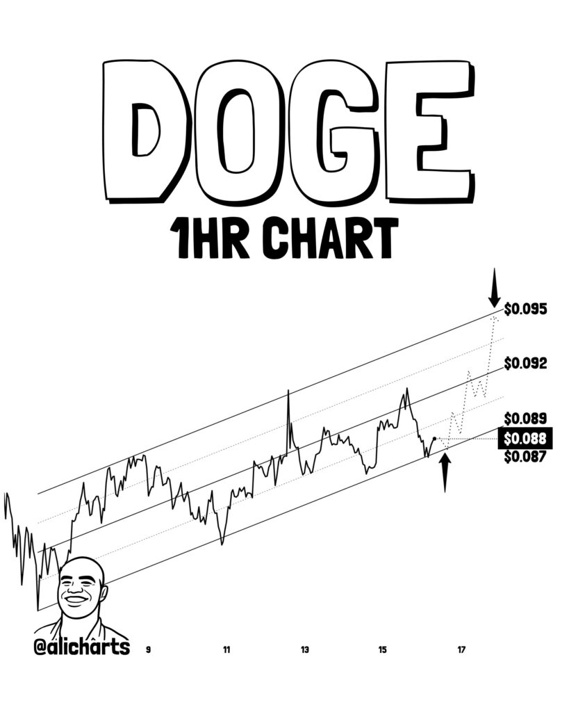 Doge