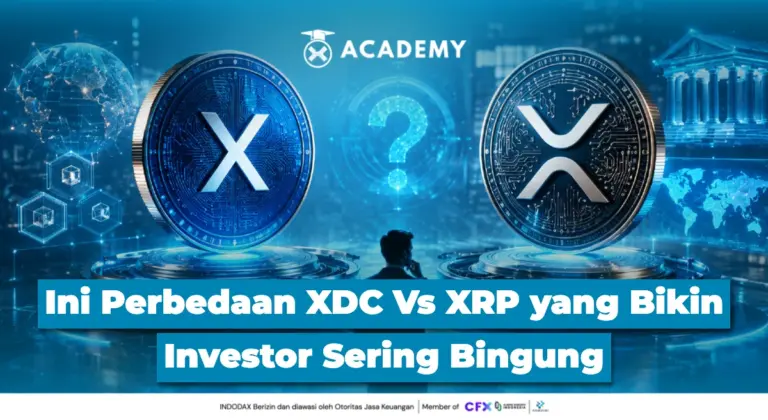 7 Perbedaan XDC dan XRP yang Bikin Investor Sering Bingung