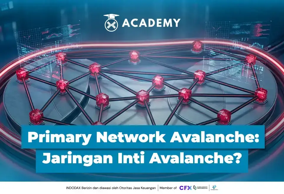 Primary Network Avalanche 1