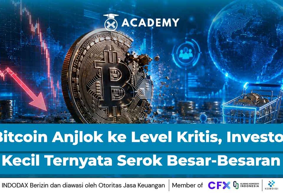 Bitcoin Anjlok ke Level Kritis, Investor Kecil Ternyata Serok Besar-Besaran