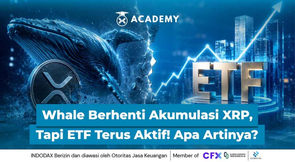 Whale Berhenti Akumulasi XRP, Tapi ETF Terus Aktif! Apa Artinya?