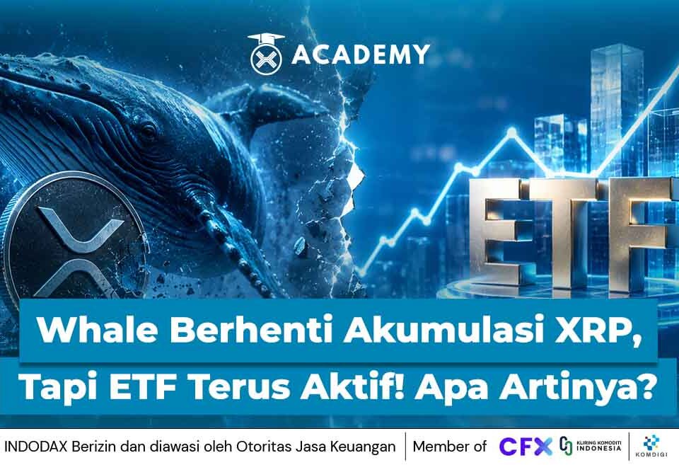 Whale Berhenti Akumulasi XRP, Tapi ETF Terus Aktif! Apa Artinya?
