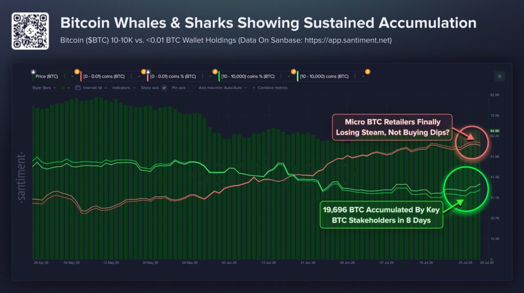Bitcoin Whales & Sharks