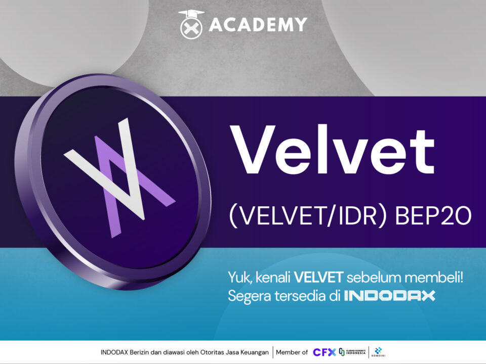 Image Article VELVET & ALLO Image Article ARC 936x530 ImageArtikel