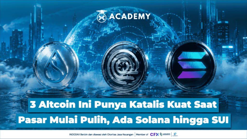 3 Altcoin Ini Punya Katalis Kuat Saat Pasar Mulai Pulih, Ada Solana hingga SUI