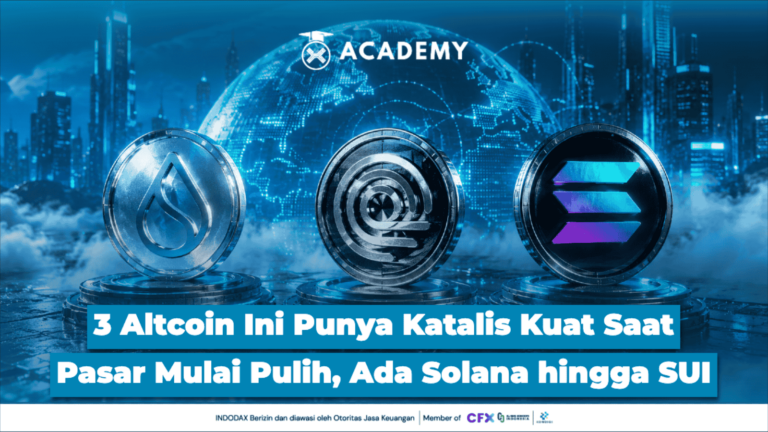 3 Altcoin Ini Punya Katalis Kuat Saat Pasar Mulai Pulih, Ada Solana hingga SUI