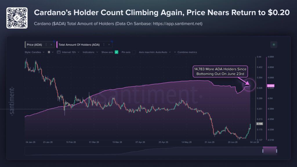 Wallet Cardano Wallet Cardano