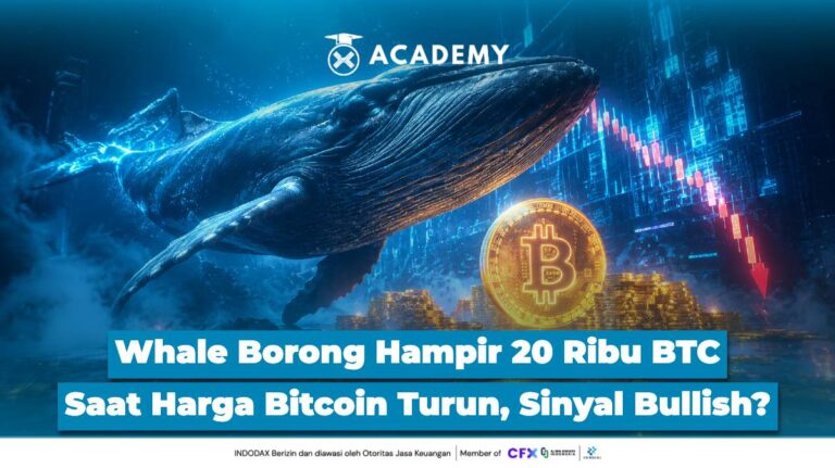 Whale Borong Hampir 20 Ribu BTC Saat Harga Bitcoin Turun, Sinyal Bullish?