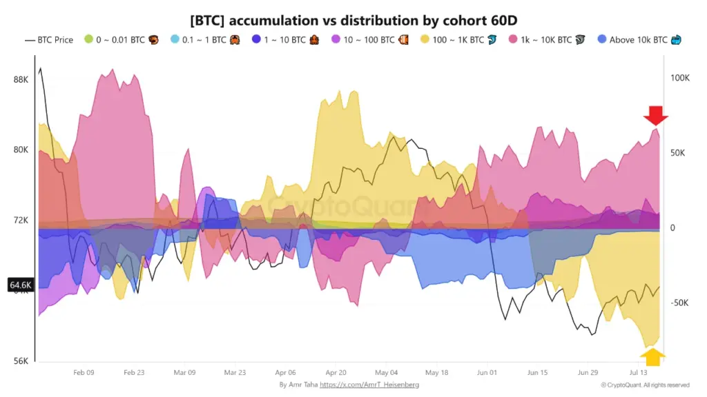btc acummulation btc acummulation