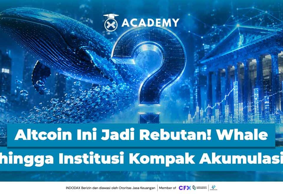 Altcoin Ini Jadi Rebutan! Whale hingga Institusi Kompak Akumulasi