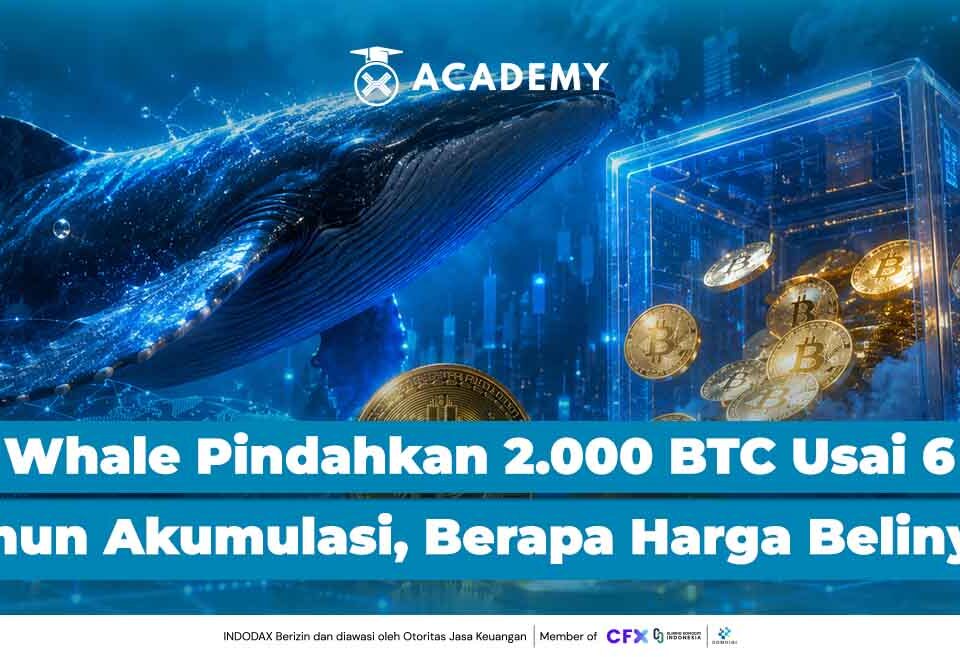 Whale Pindahkan 2.000 Bitcoin Usai 6 Tahun Akumulasi, Berapa Harga Belinya?